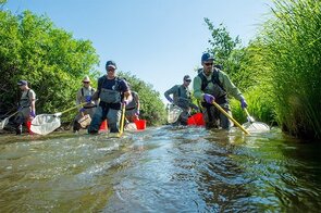 Rising stars in Earth and environmental sciences in the Nature Index 2020 Annual Tables