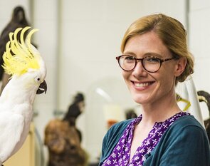 Clusters of Excellence: the new ‘brains trusts’ of German science