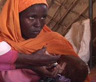 Image from the story