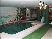 Photo of Kassar's indoor pool