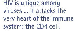 HIV is unique among viruses it attacks the very heart of the immune system: the CD4 cell