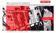 image of the home page of the site
