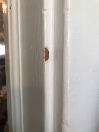 What do you guys think about the possibilities of removing paint from the door  frames? Home was built in 1921. It was my mother's now mine. Wanting to  restore the home as